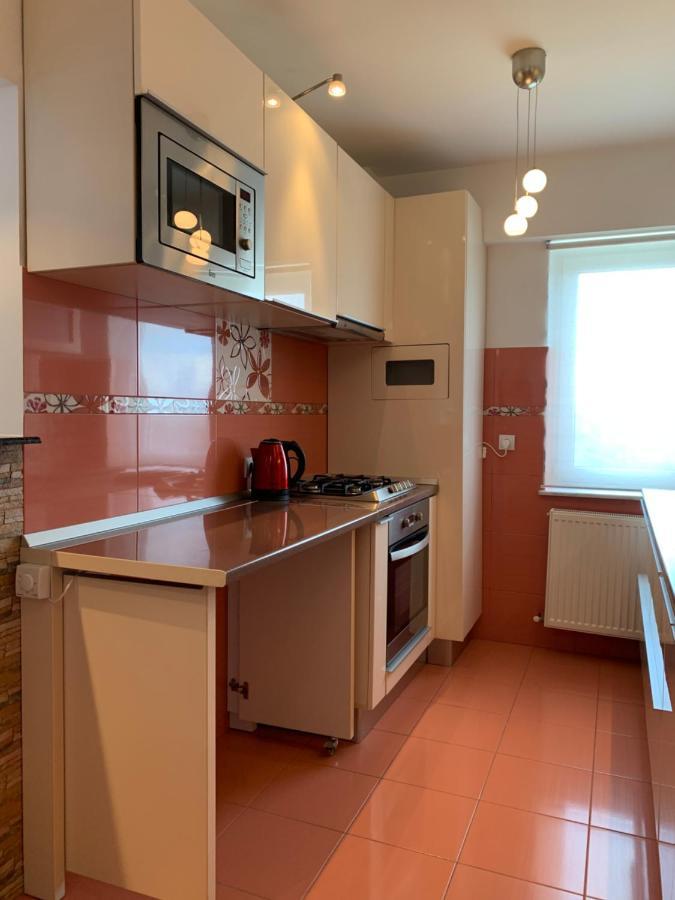 Sunny Central Apartments Suceava Luaran gambar